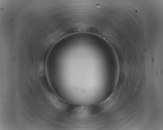 X0000062830082200601131309