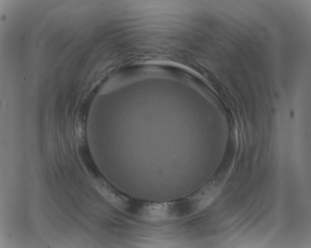 X0000062830084200601131309