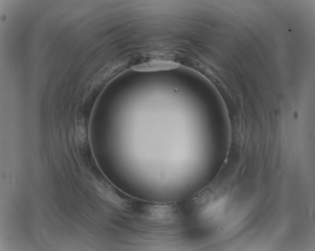 X0000062830085200601131309