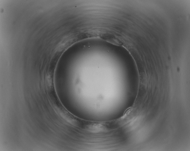 X0000062830086200601131309