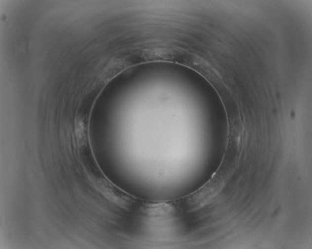 X0000062830087200601131309