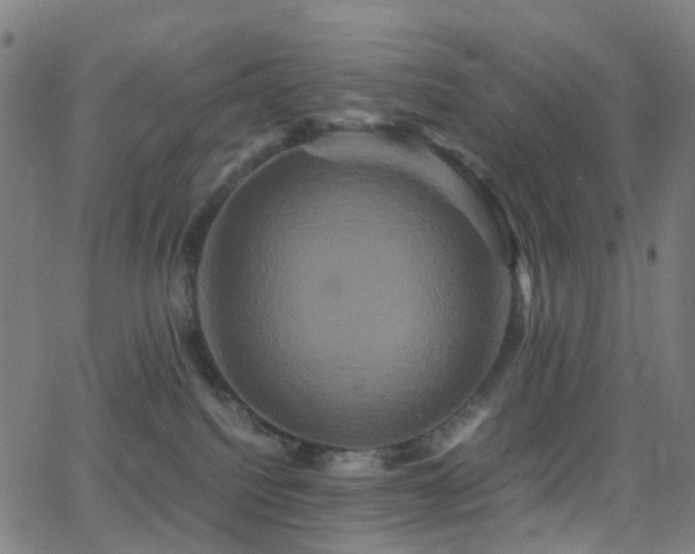 X0000062830088200601131309