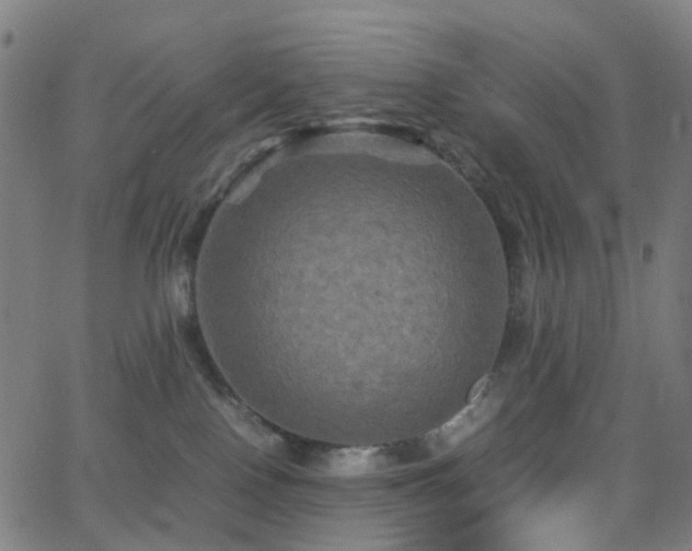 X0000062830090200601131309