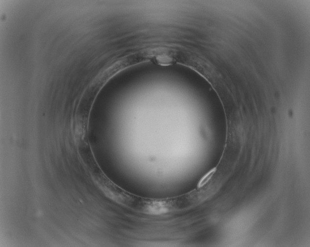 X0000062830091200601131309