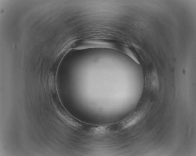 X0000062830092200601131309