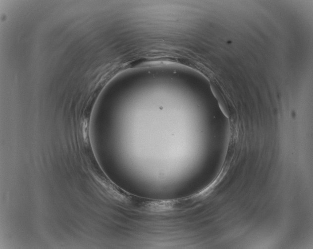 X0000062830094200601131309