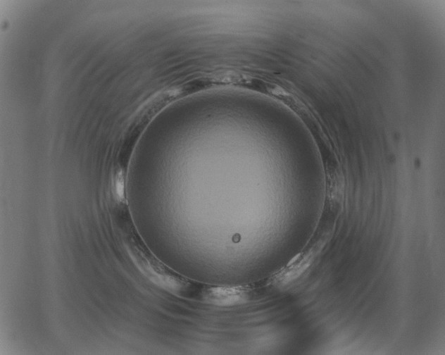 X0000062830095200601131309