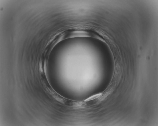 X0000062830096200601131309