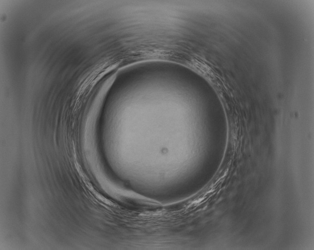 X0000062830097200601131308