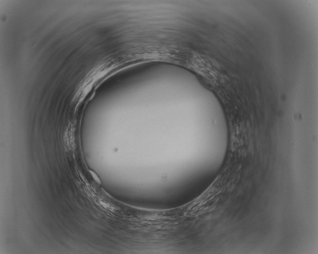 X0000062830098200601131308