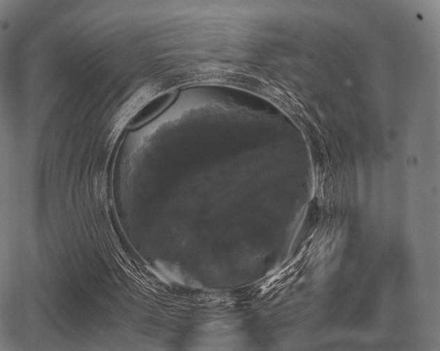 X0000062830099200601131308