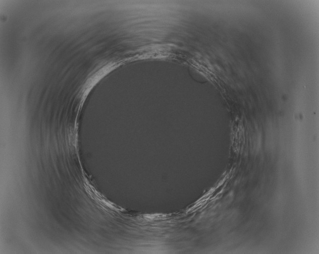 X0000062830100200601131308