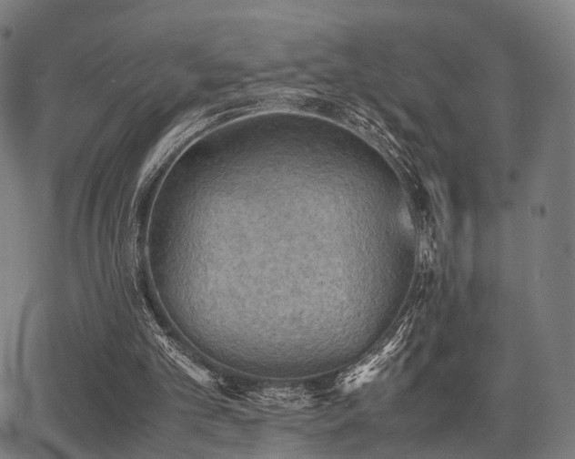 X0000062830101200601131308