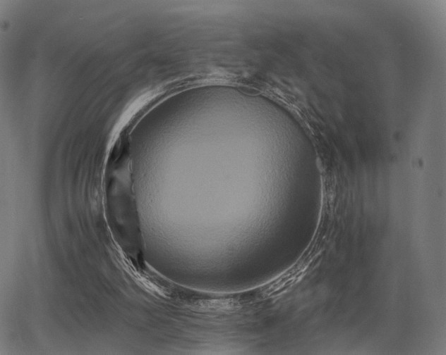 X0000062830102200601131308