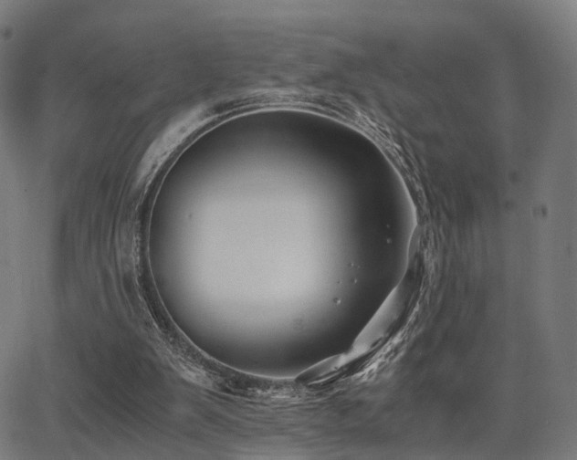 X0000062830103200601131308