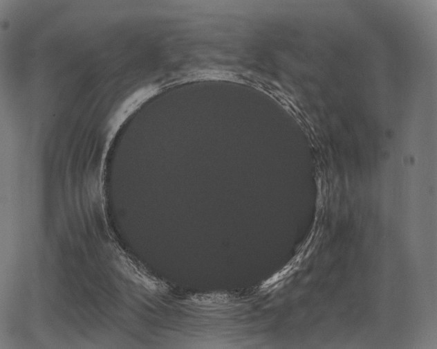 X0000062830104200601131308