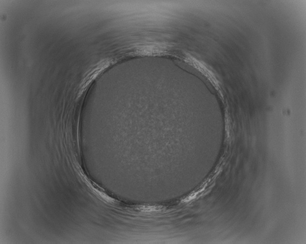 X0000062830105200601131308