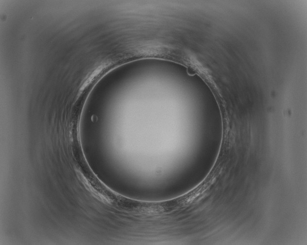 X0000062830106200601131308