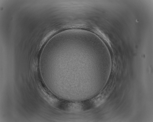 X0000062830107200601131308