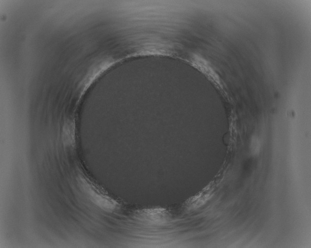 X0000062830108200601131308