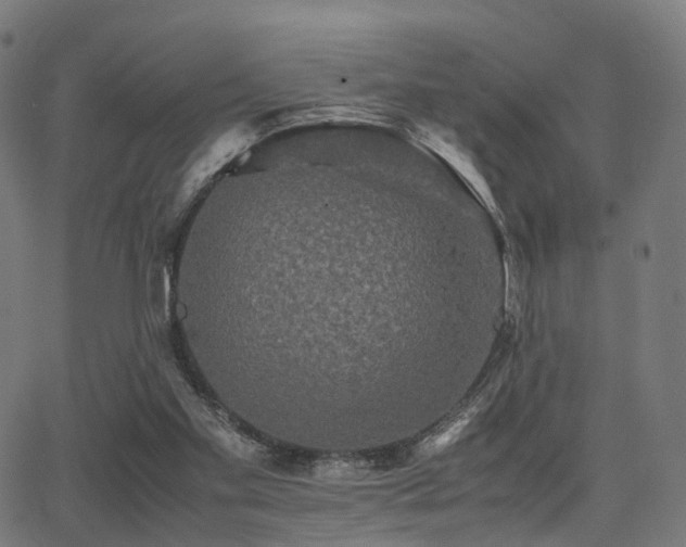 X0000062830109200601131308