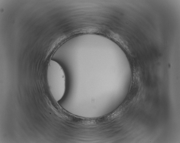 X0000062830110200601131308