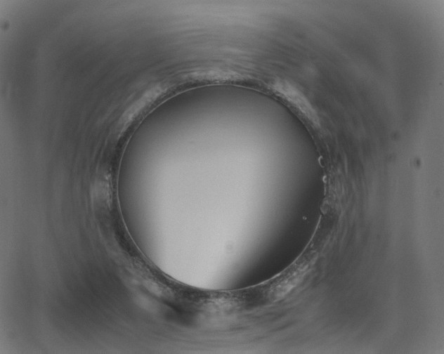 X0000062830111200601131308