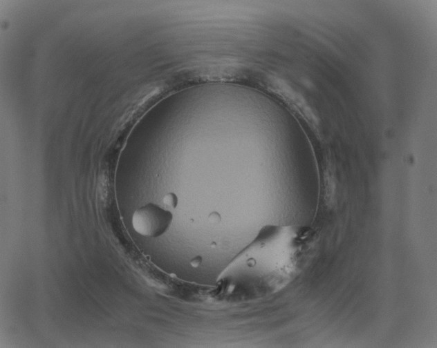 X0000062830113200601131308