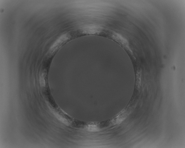 X0000062830114200601131308