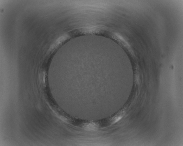 X0000062830115200601131308