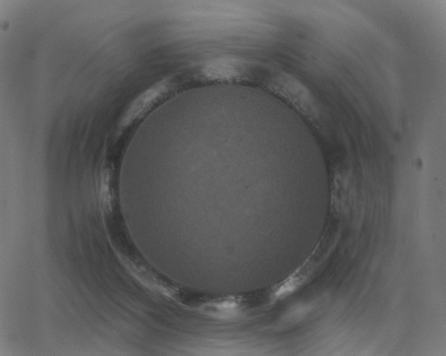 X0000062830116200601131308