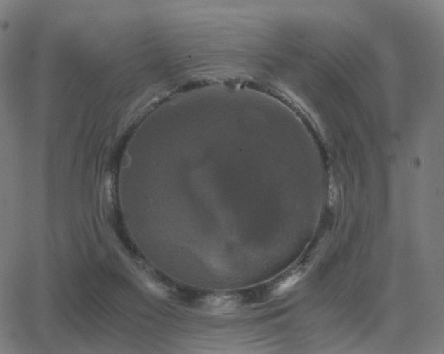 X0000062830117200601131308