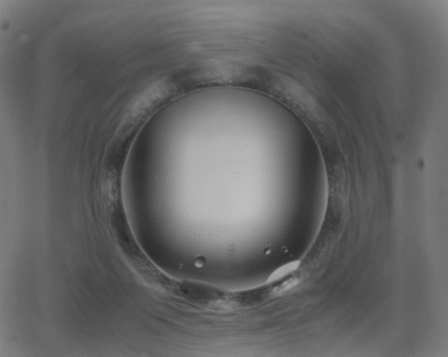 X0000062830119200601131308