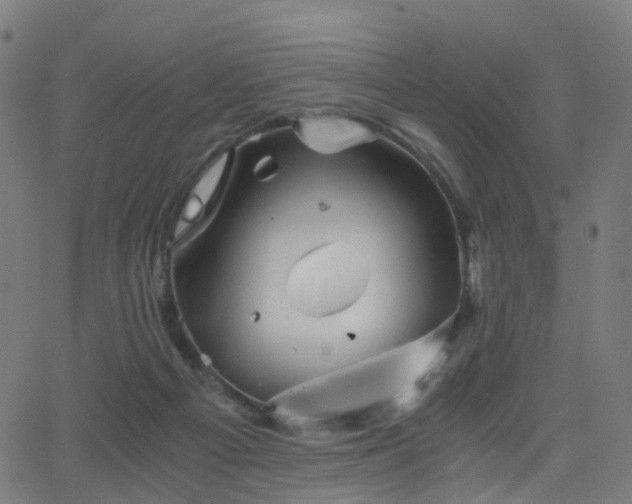 X0000062830121200601131308