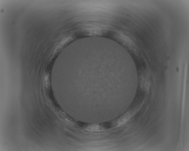 X0000062830123200601131308