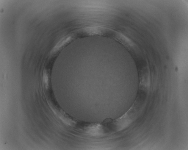 X0000062830124200601131308