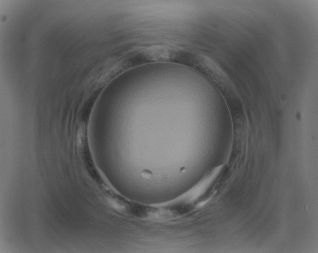 X0000062830125200601131308