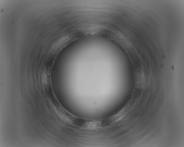 X0000062830126200601131308