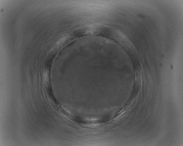 X0000062830127200601131308