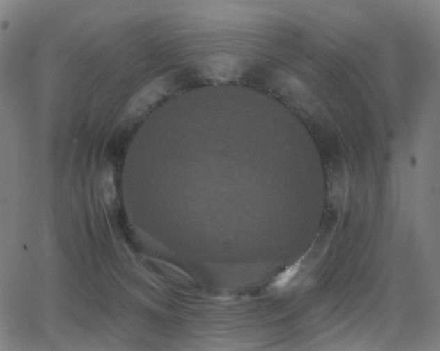 X0000062830128200601131308