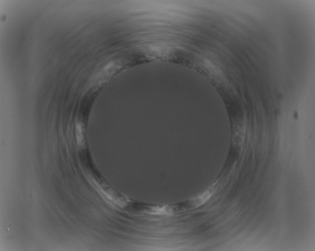 X0000062830130200601131308