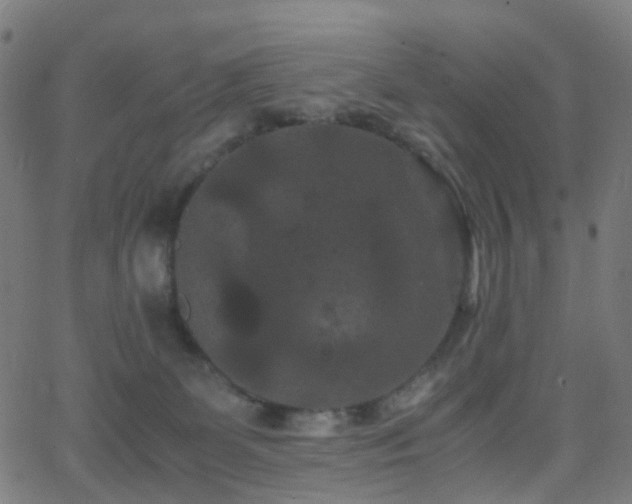 X0000062830131200601131308