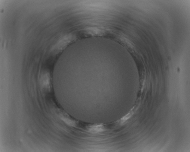 X0000062830132200601131308