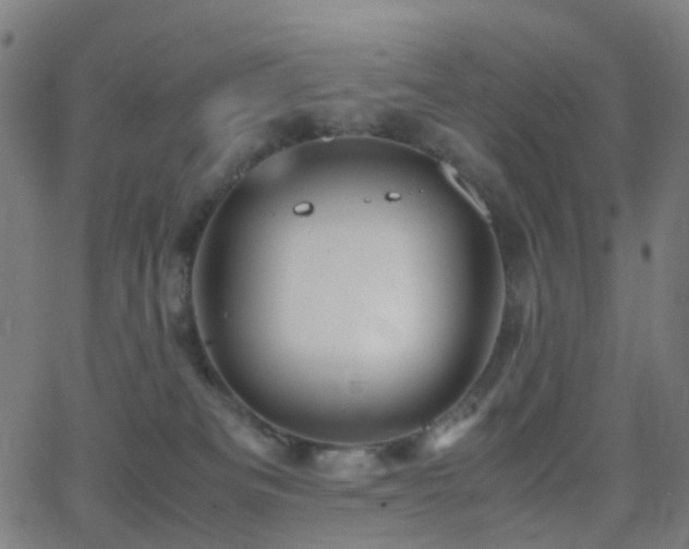 X0000062830133200601131308