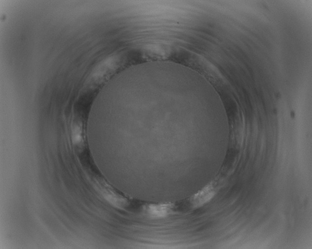 X0000062830134200601131308