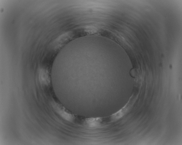 X0000062830136200601131308