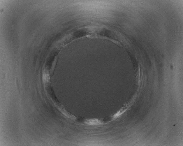 X0000062830137200601131308