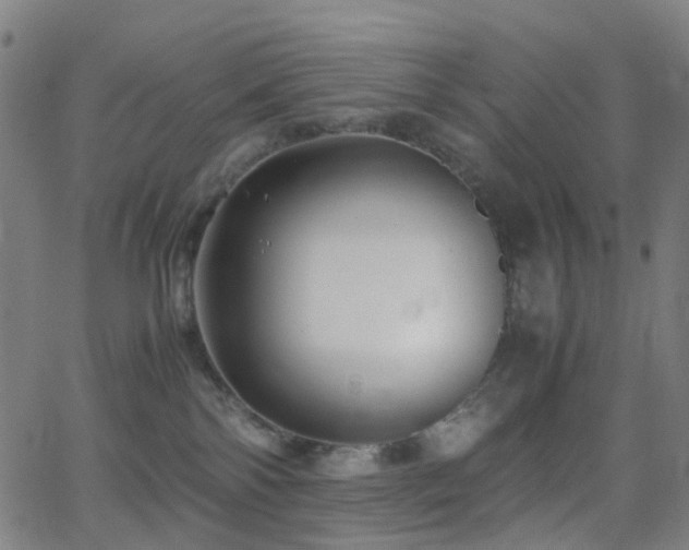 X0000062830138200601131308