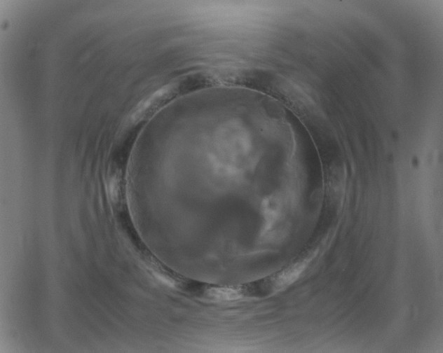 X0000062830139200601131308