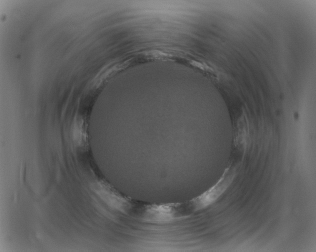 X0000062830140200601131308